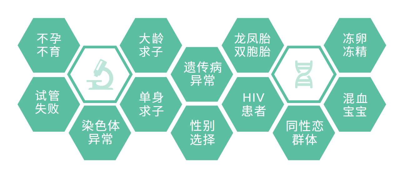 项目示意图
